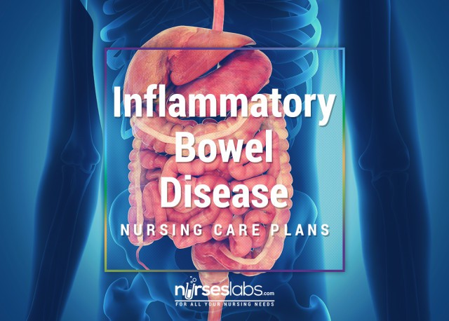 Inflammatory-Bowel-Disease-Nursing-Care-Plans