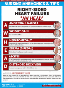 Right-Sided Heart Failure Manifestations: “AW HEAD”
