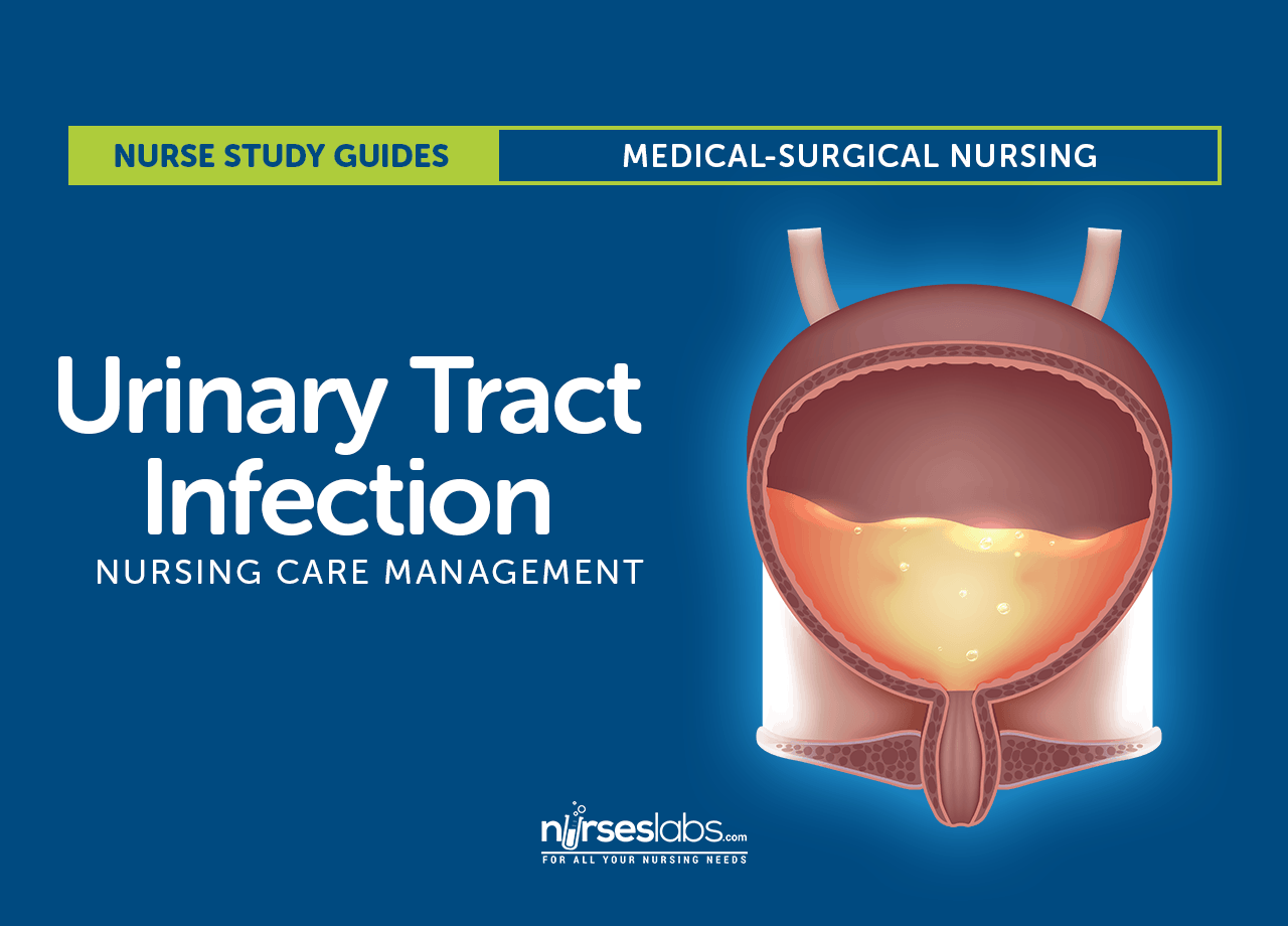 Urinary Tract Infection: Nursing Care and Management Study Guide