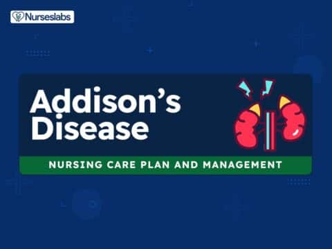 Addison’s Disease Nursing Care Plans and Nursing Diagnosis