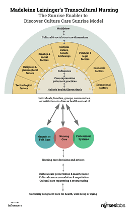 madeleine-leininger-transcultural-nursing-theory-nurseslabs
