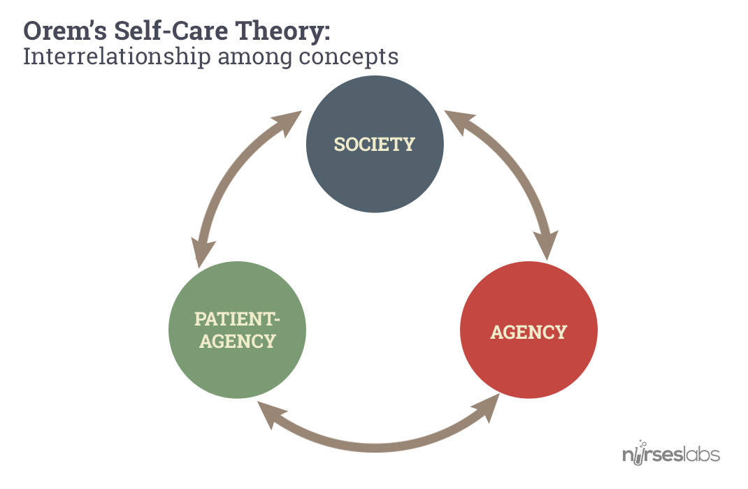 Orem's Self-Care Theory: Interrelationship among concepts. Click to enlarge.