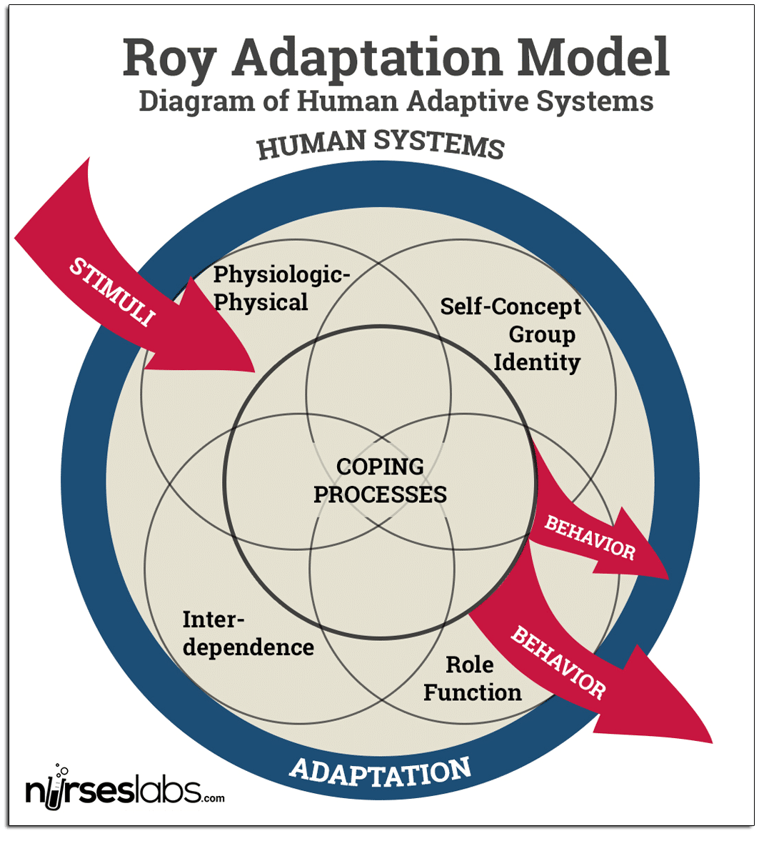 roy adaptation theory research papers