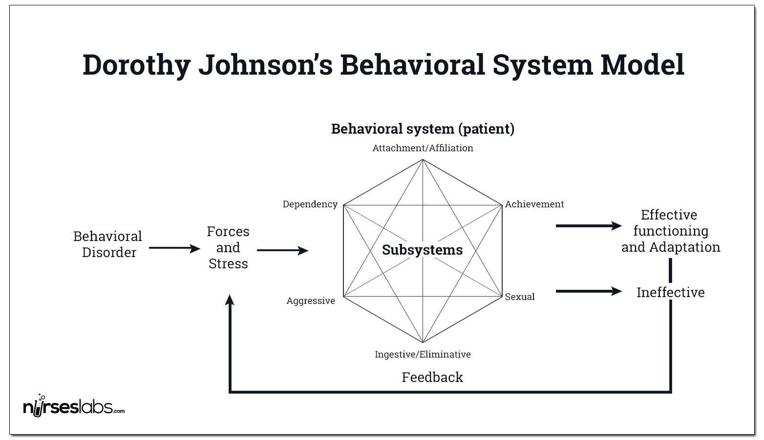 johnsons behavioral system model