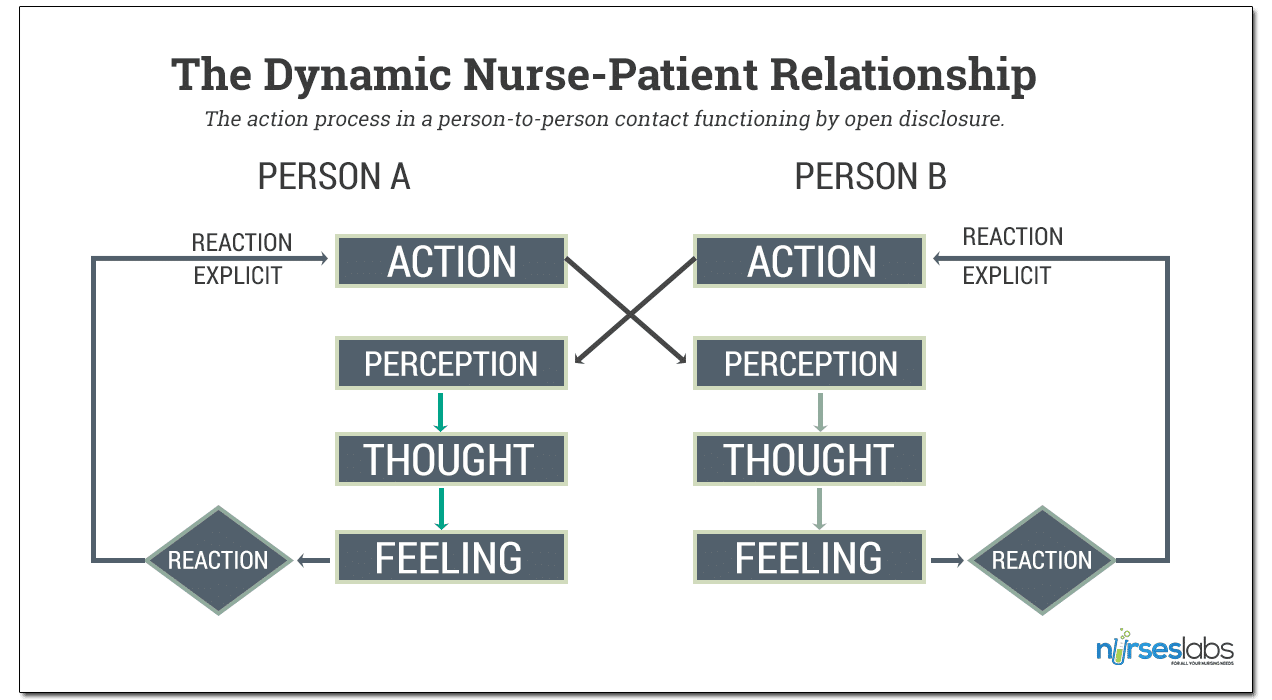 Ida Jean Orlando: Deliberative Nursing Process Theory - Nurseslabs