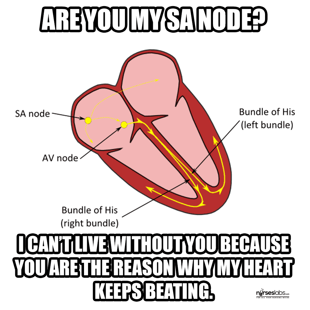 Are You My SA Node?