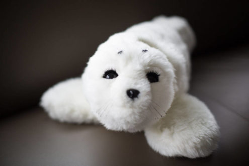 Paro the Therapeutic Robot seal. Via: TheStar.com