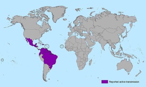 Countries and territories with active Zika virus transmission. Image via: CDC.gov