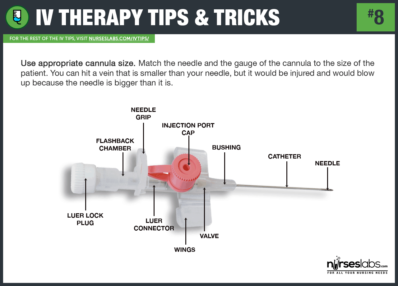 Iv Set Diagram