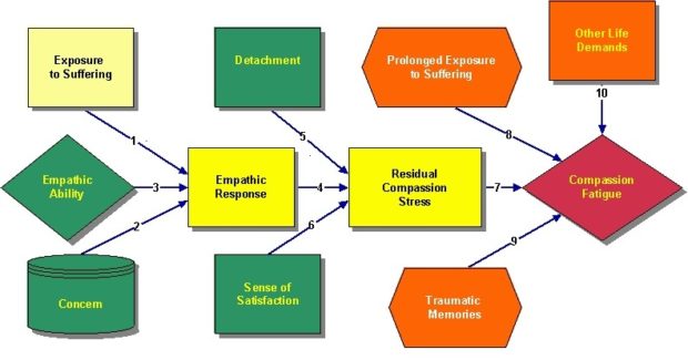 The Compassion Fatigue Process