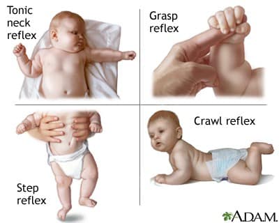 infant reflexes chart