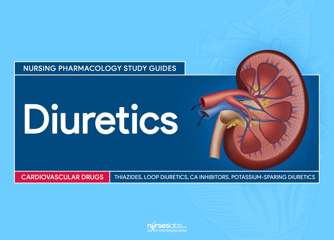 Diuretic Drugs Nursing Pharmacology Study Guide