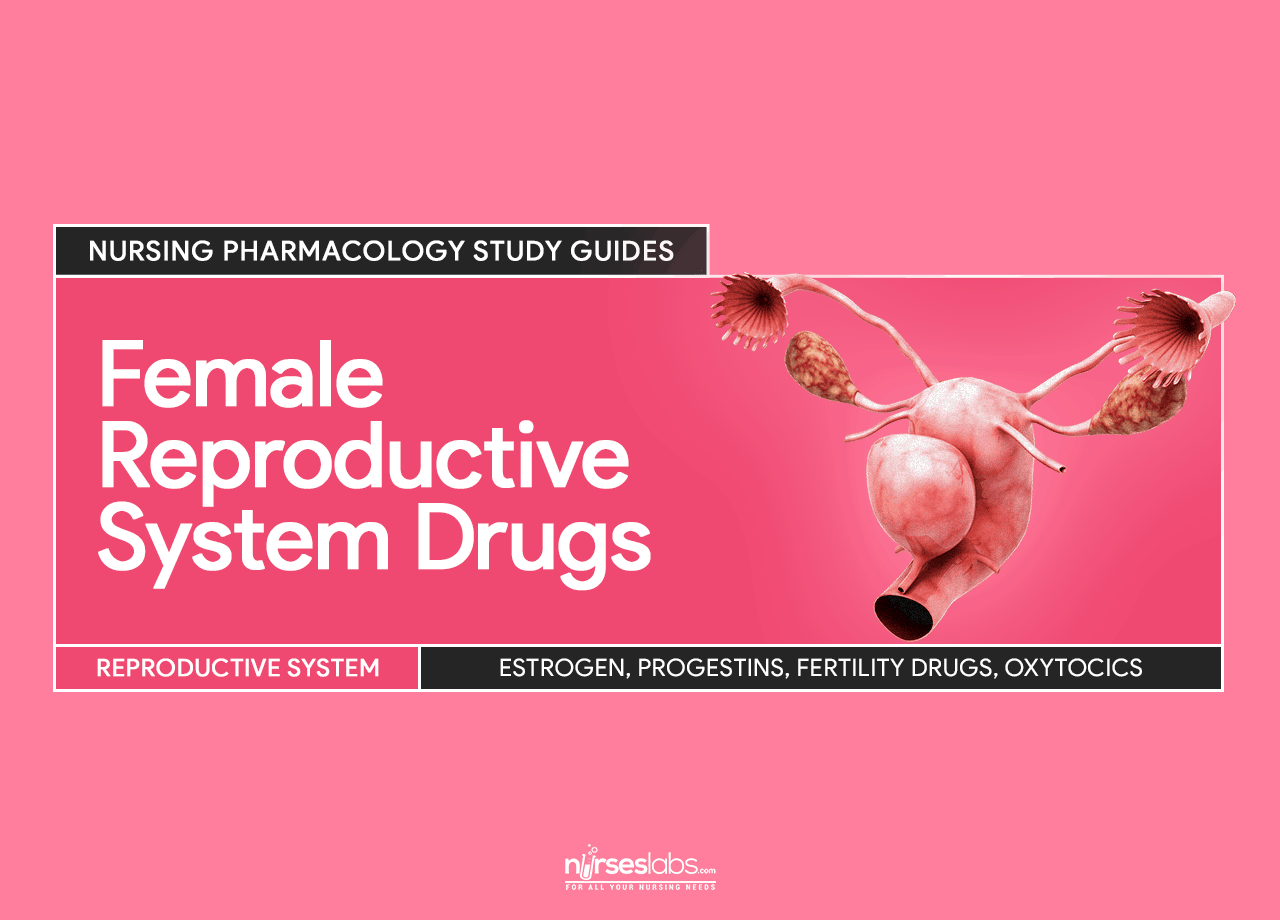 Female Reproductive System Drugs Nursing Pharmacology