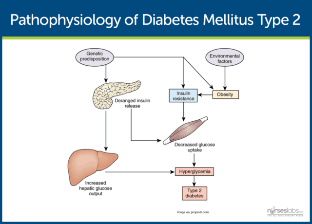 Unraveling the Complex Pathophysiology of Diabetes Mellitus ...