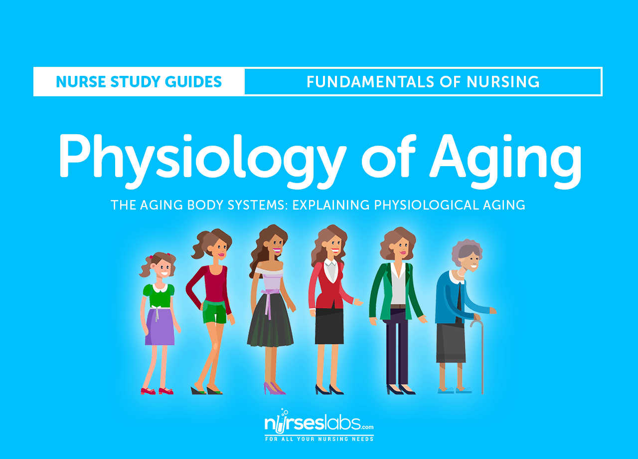 The Aging Body Systems: Explaining Physiological Aging - Nurseslabs