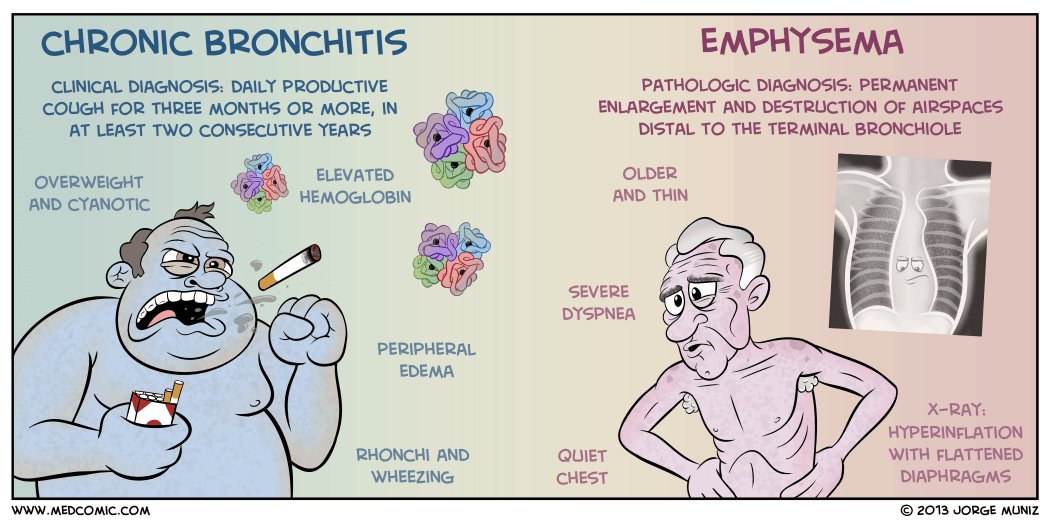 COPD Chronic Bronchitis vs Emphysema