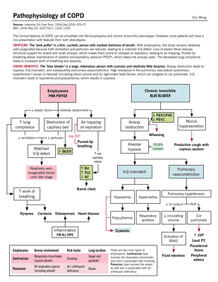 Chronic Obstructive Pulmonary Disease (COPD) Nursing Care Management
