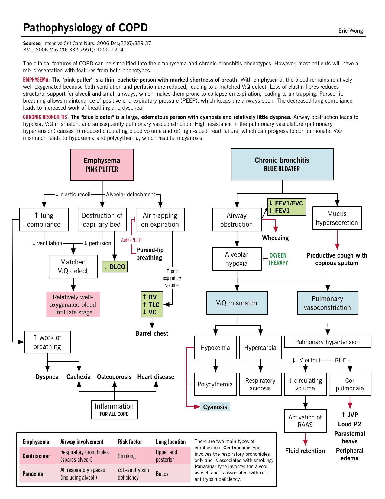 Inhalers For Copd Chart