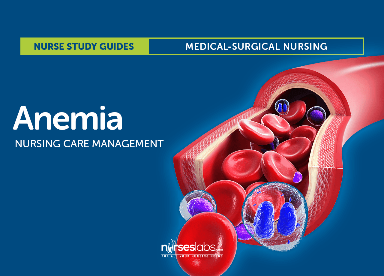 anemia-nursing-care-management-a-study-guide