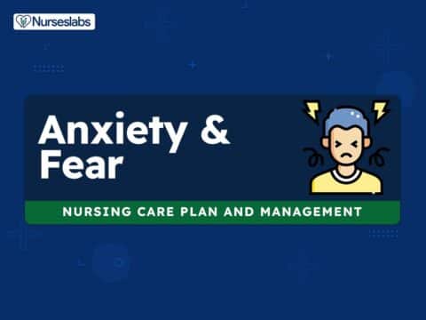 mental health nursing care plan essay