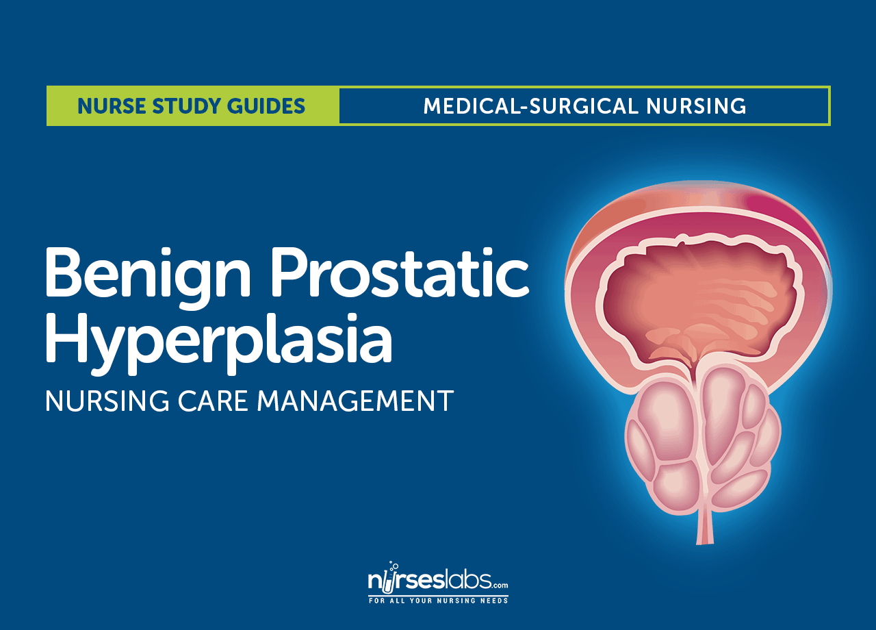 benign prostatic hyperplasia pathophysiology