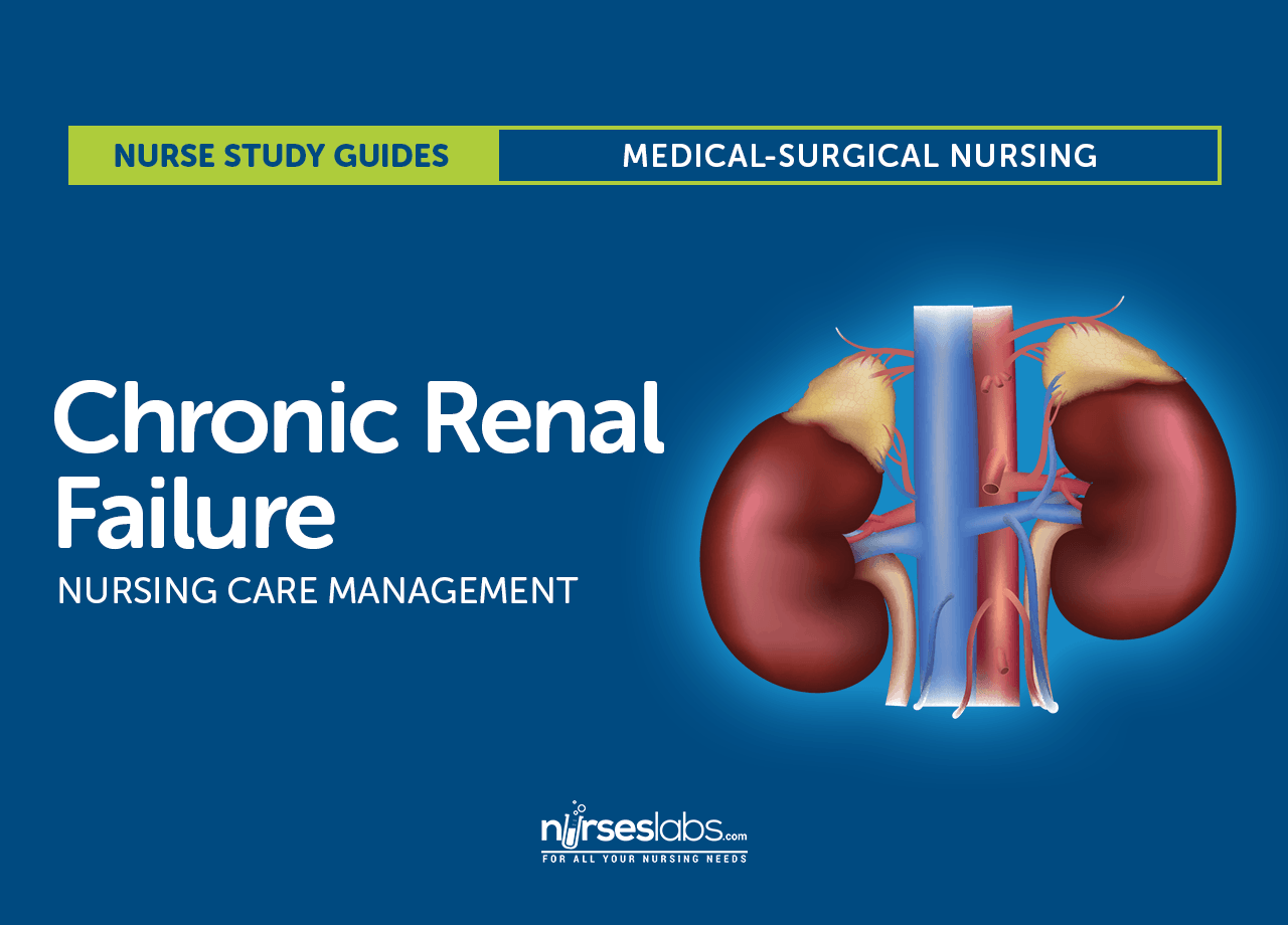 What Causes Renal Failure In Elderly