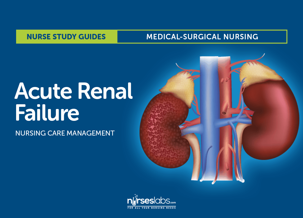 Acute Renal Failure Nursing Care and Management: Study Guide