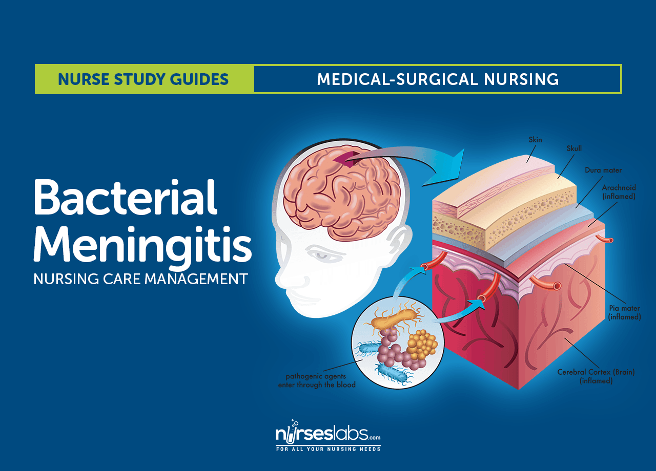 What Are The Long Term Effects Of Bacterial Meningitis