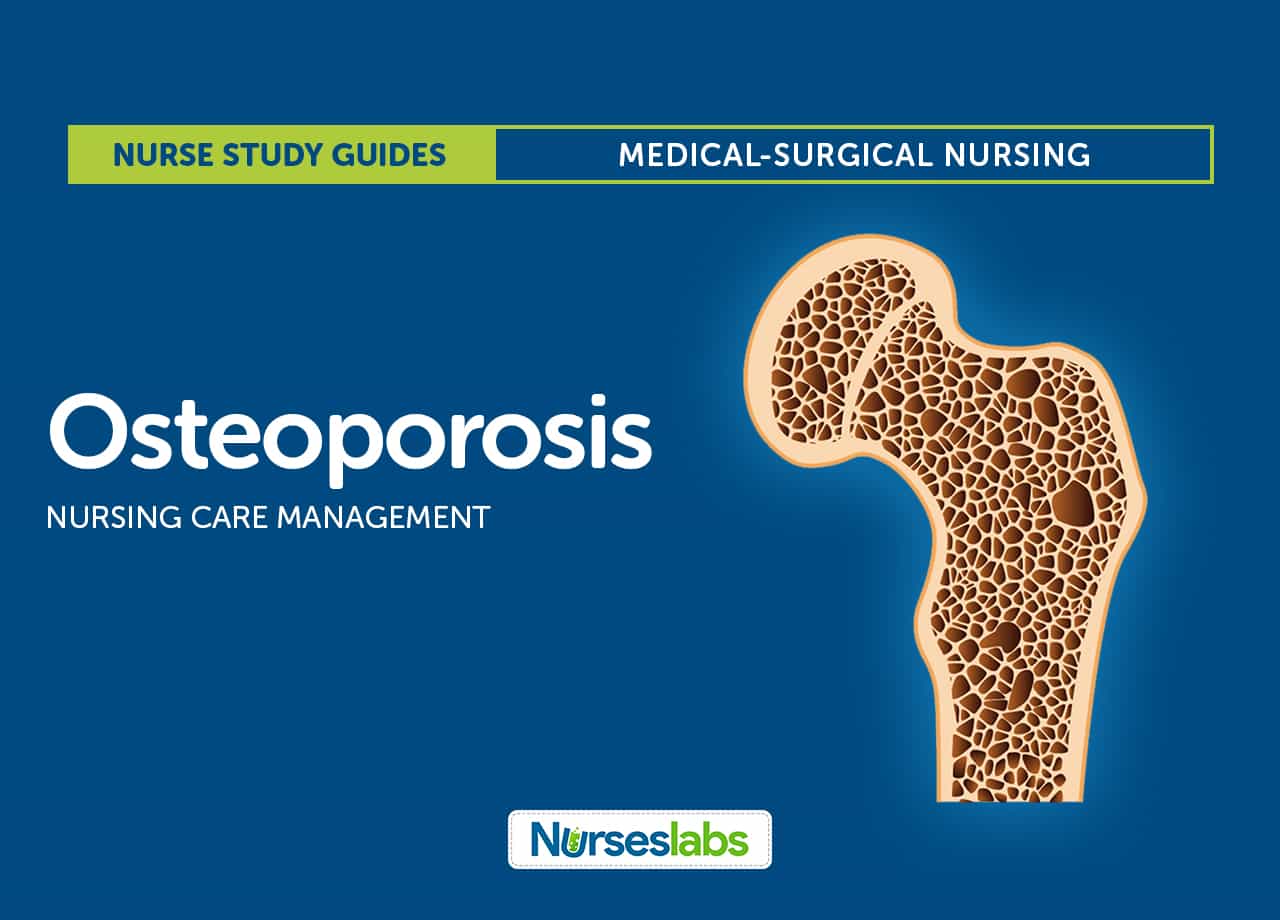 Osteoporosis Protocol Flow Chart