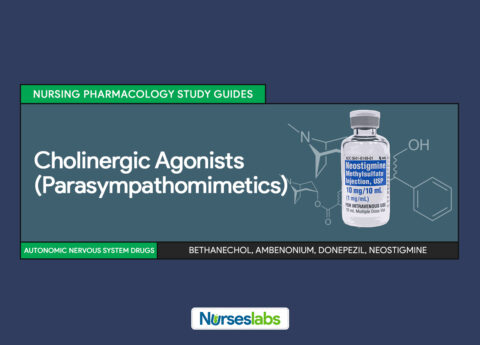 Cholinergic Agonists (Parasympathomimetics) Nursing Pharmacology Study Guides