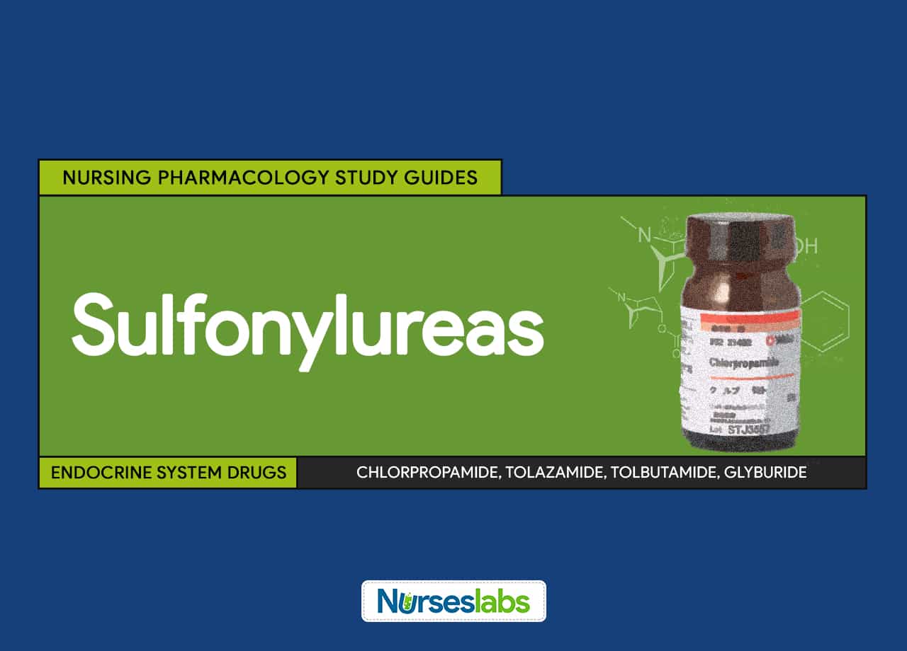 sulfonylureas-nursing-pharmacology-and-study-guide