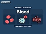 Blood Anatomy and Physiology Nursing Study Guide
