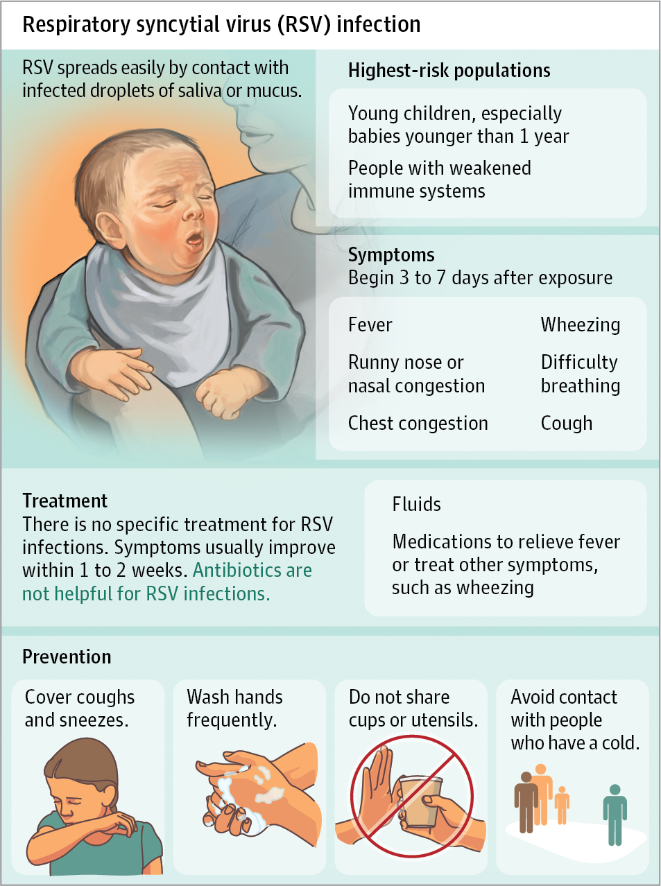 Pathophysiology Of Respiratory Syncytial Virus