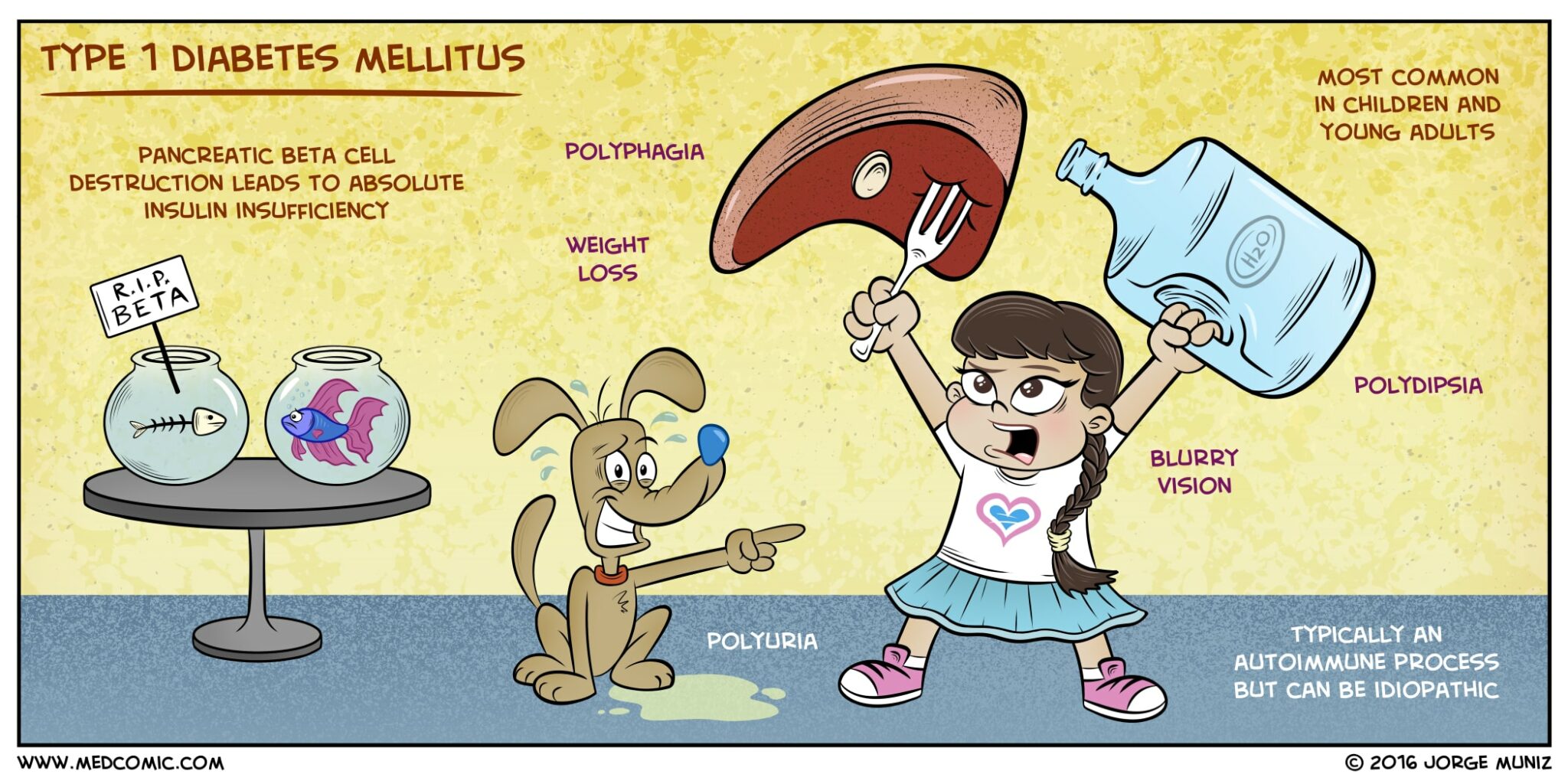 type-1-diabetes-mellitus-nursing-care-management-and-study-guide