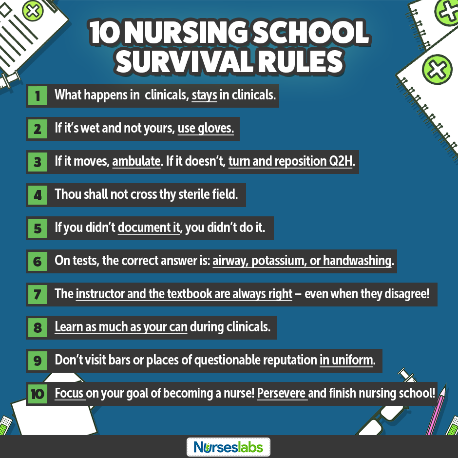 TOP 10 MUST HAVES for NURSING SCHOOL 