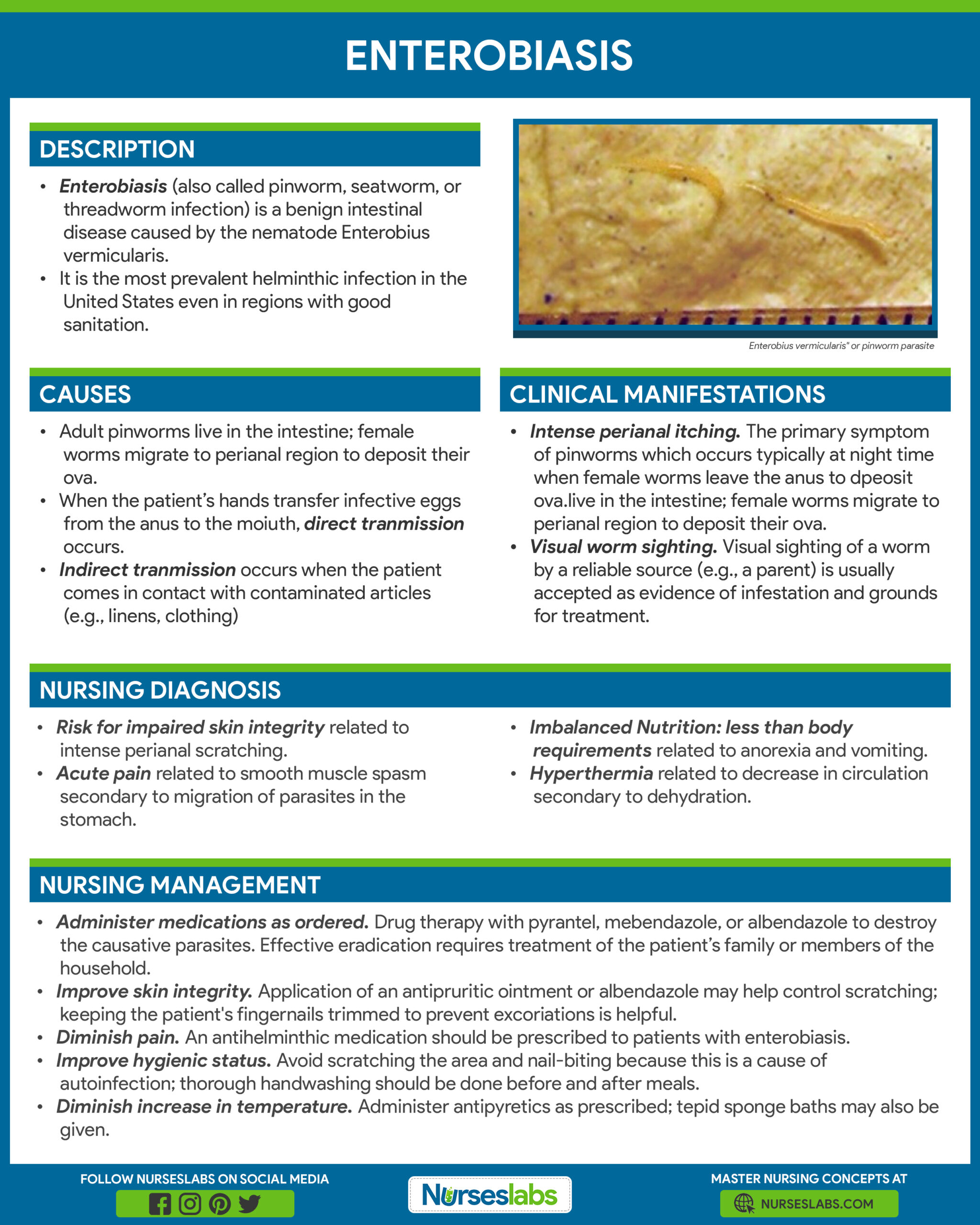 enterobiosis helminthiasis