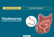 Hookworms Hookworm Infection Nursing Care Management