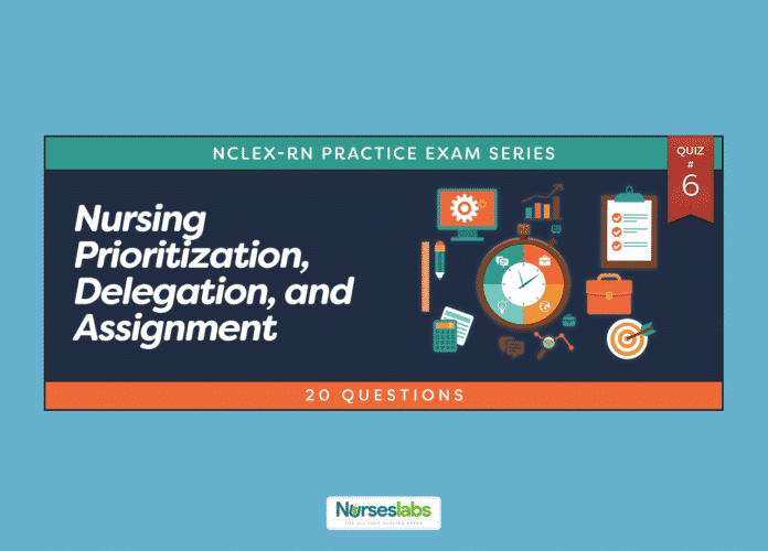 nursing prioritization delegation and assignment