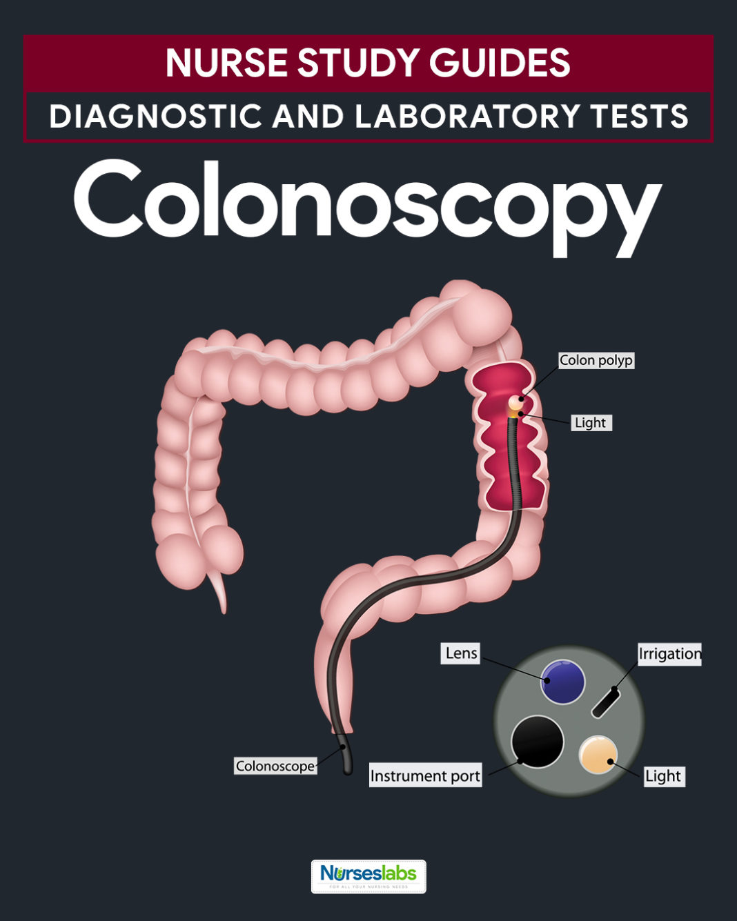 Colonoscopy Nursing Responsibilities and Procedures Nurseslabs