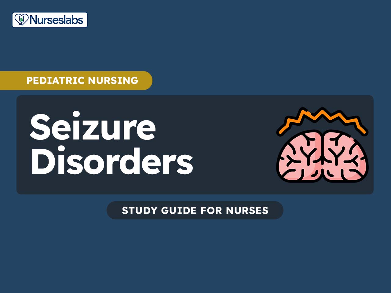 Seizure Disorders Epilepsy Nursing Care Management Nurseslabs