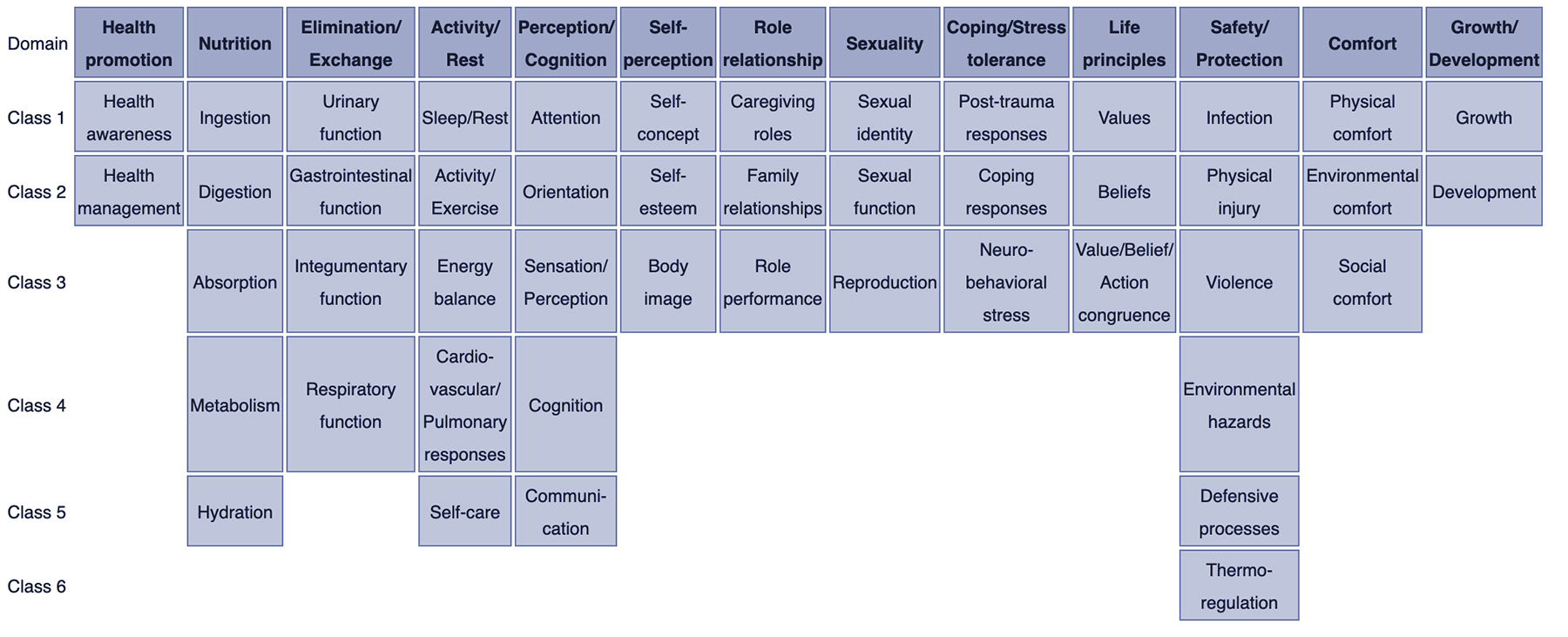 Nursing Diagnosis Taxonomy II