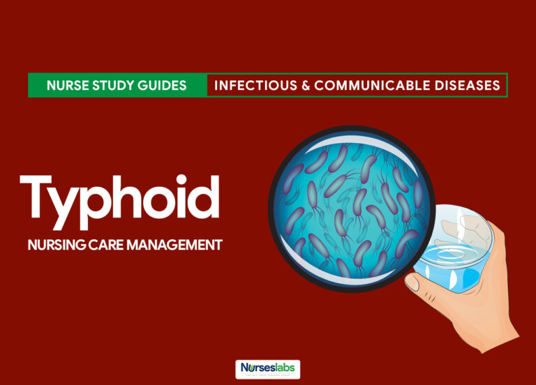 Typhoid Fever Nursing Care Management