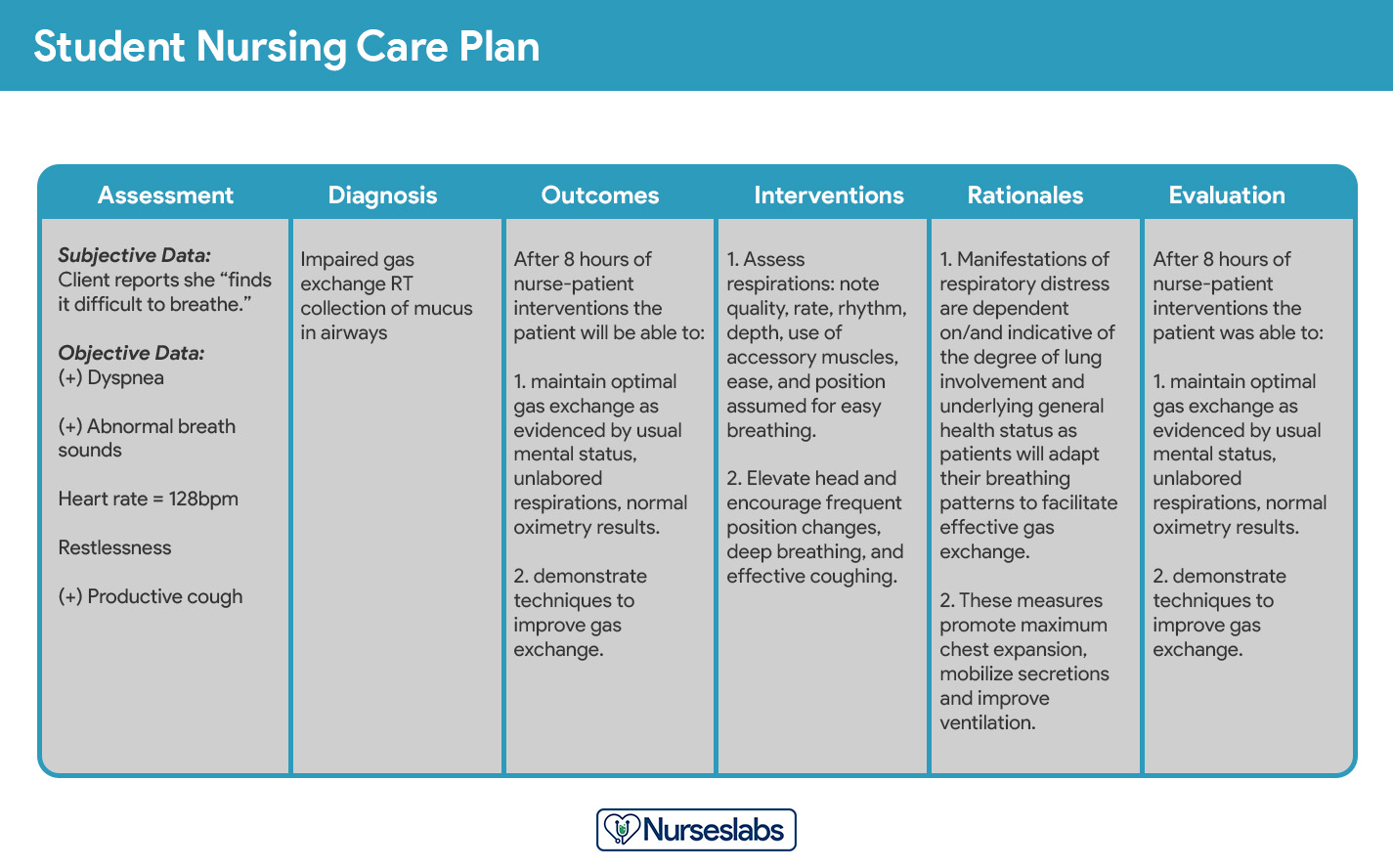 Evaluation Nursing Care Plan Template & Example