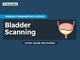 Bladder Scanning - Nursing Notes Study Guides