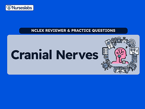 Cranial nerves anatomy and nursing practice questions for NCLEX review and educational purposes.