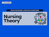 Nursing theory concept with healthcare icons and nurse illustration.